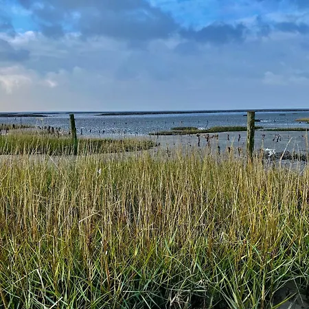 Salzwiesenblick Büsum